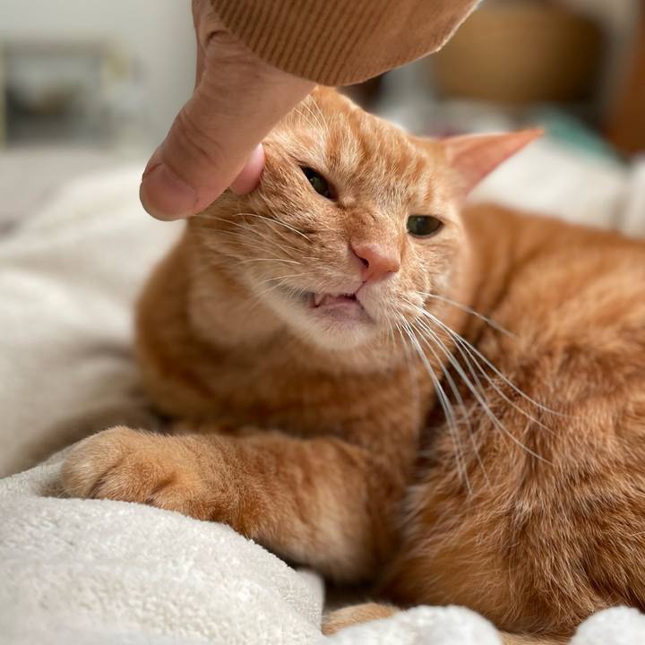 2ba70f6d e602 4d73 9e20 bd7677909349 1696632113456