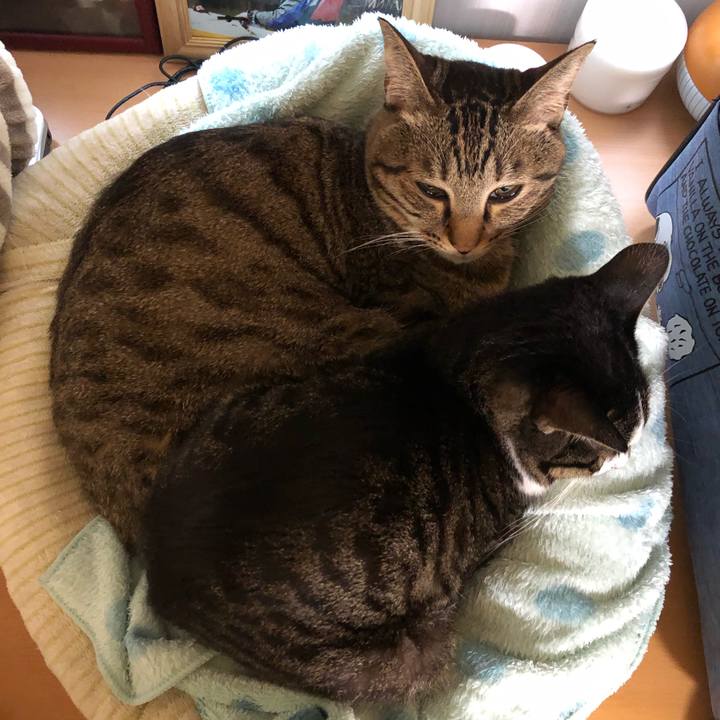 2ba71674 2984 43fa a454 7faf9f2fdd97 1606979794390