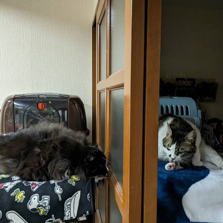 2ba75af8 1c38 4cdb aefb d5b7c176d458 1702298180515