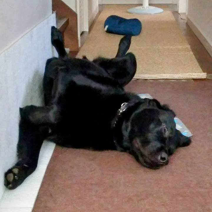 2ba7ad03 547e 43af a0d3 7f09ac5816bd 1752712656114