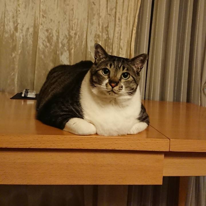 2ba7e429 8636 4a38 b495 71545f5becf6 1558179796430