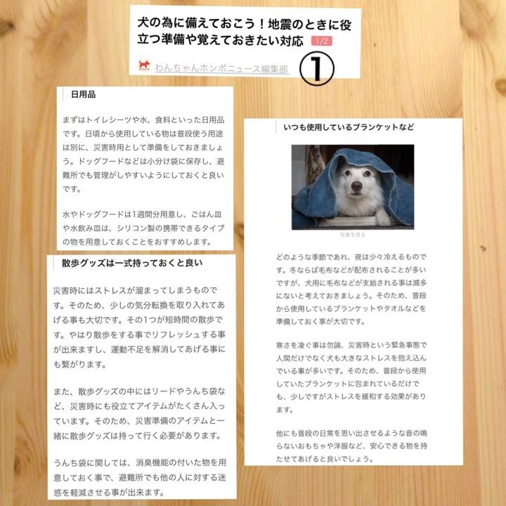 2ba7eefc 1613 4519 8a15 85ded2372aa0 1529308268096