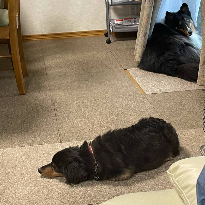 2ba7f316 aeeb 4ffa b065 a463db729a5b 1624092147605