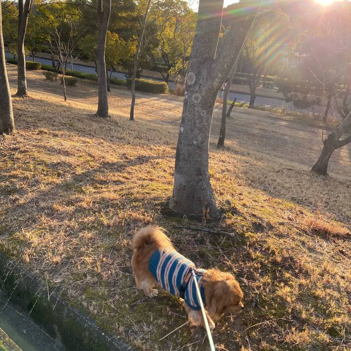 2ba817b6 24d1 4966 891e e3aa5b32f168 1581287841303