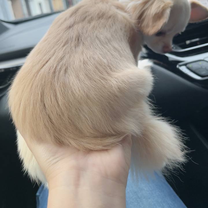 2ba853bd 89e8 45e8 ac06 69a08b694f44 1726970615941