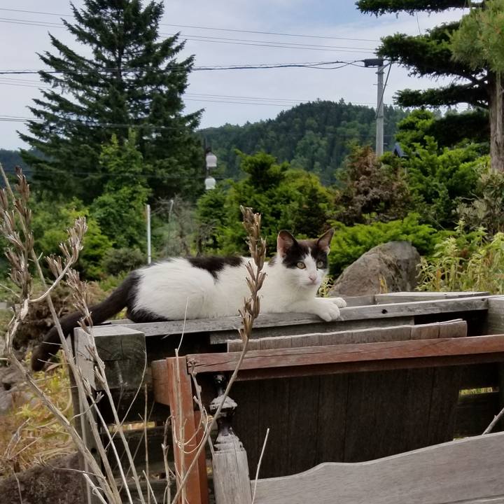 2ba8626c d54c 4779 8d05 8a7959ef2f23 1561109033175