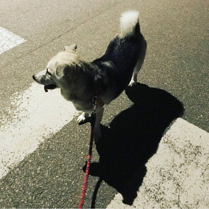 2ba87996 6c07 44a3 94f2 da469aeed3aa 1599481225945