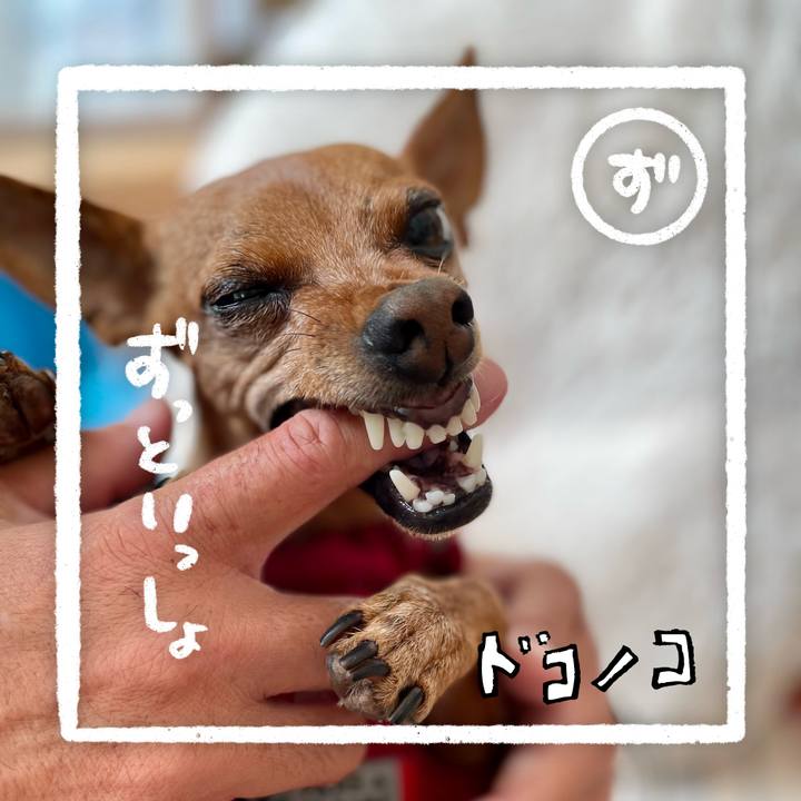 2ba8cbb5 1556 4d04 bbfc 9ed6c2846517 1685993037652