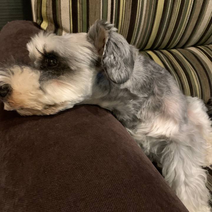 2ba8f47f da4c 4584 bd09 1a319e9e8cf3 1629110248249