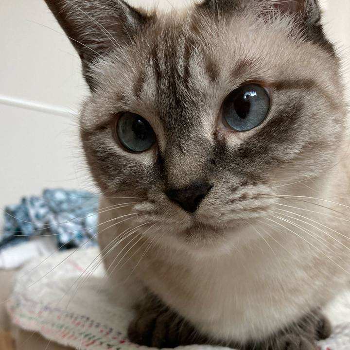 2ba9a5db 88b1 4956 bf00 5e644be1c9f8 1724462535013