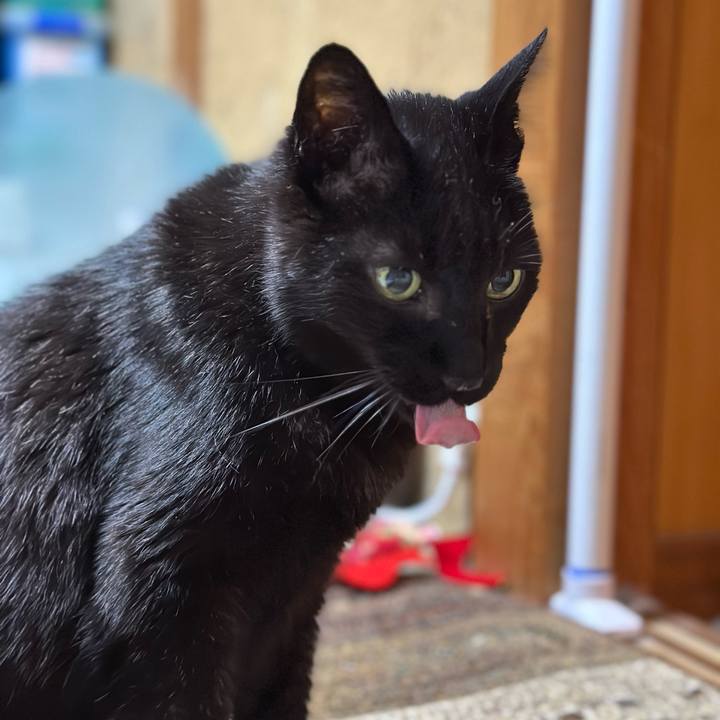 2baa78c4 19a6 4bbd 890f 1f65b26bab5d 1684891978231