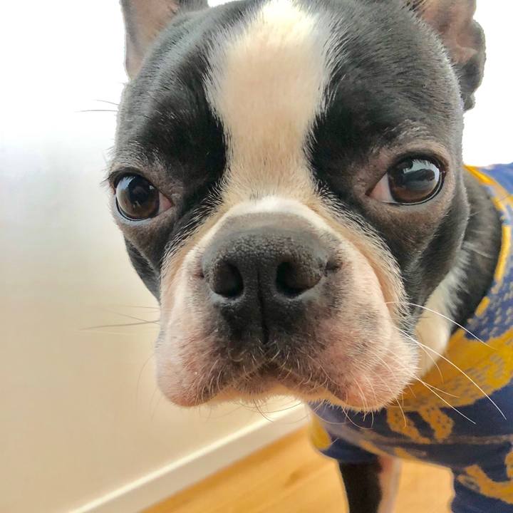 2baa8439 fb58 49e4 8cb3 af902298257c 1521508007461