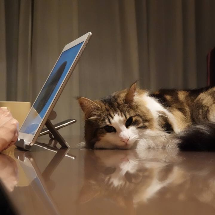 2bab0ce7 903e 4dd2 8d70 1ffbc0d32c18 1559744383849