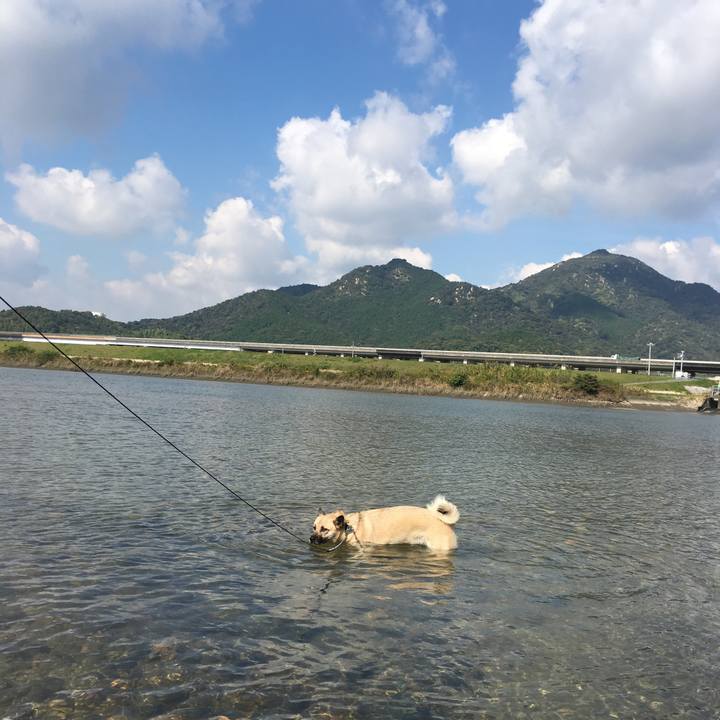 2bab1507 4dbc 4903 9ff2 6cadb62485a6 1509679714869