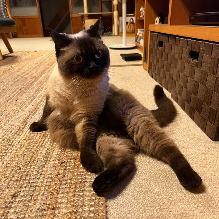 2bab15c7 72b6 4c1f 9601 82d83b2836e7 1658230945190