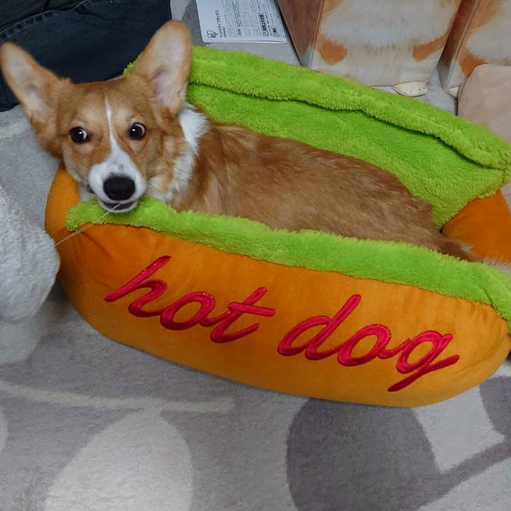 2bab36e2 02ca 4eba a095 4f90ad54896b 1762440631243