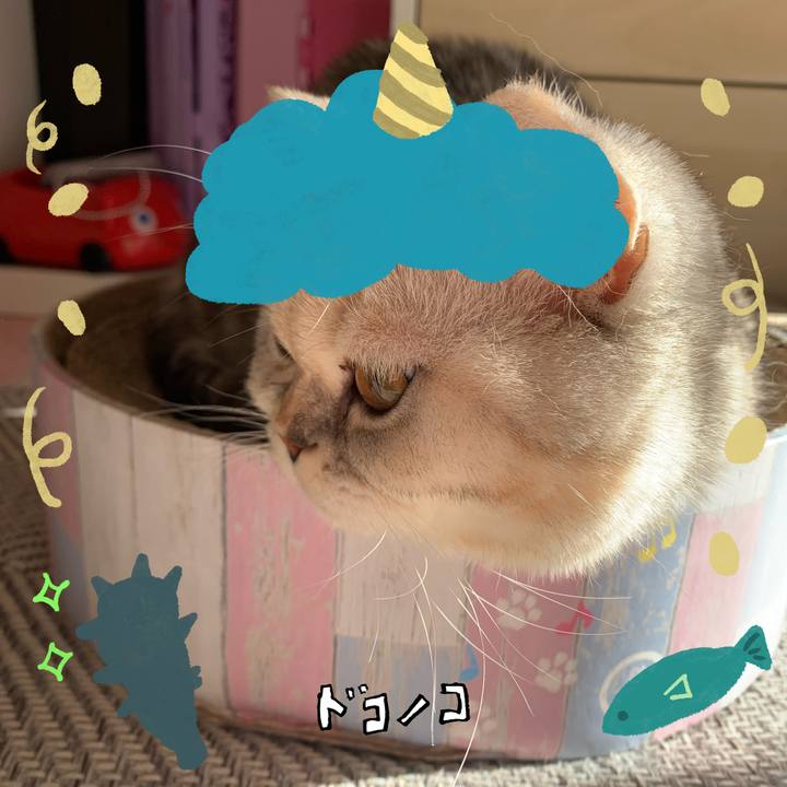 2bab5b66 a1e4 4fcf b592 00374d37859d 1706916615109