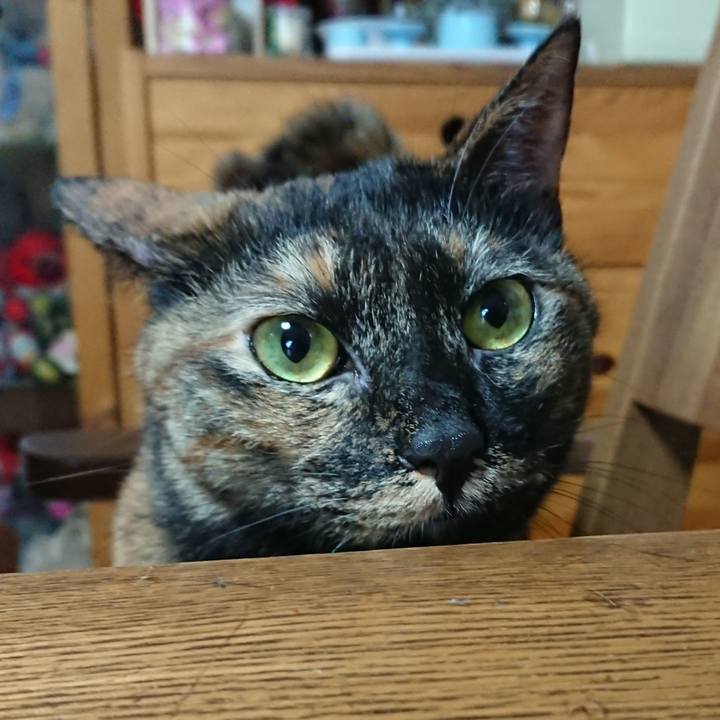 2bab71d0 0209 4fcd 9718 0ccd38e21976 1571495082679