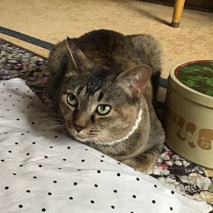 2bab8631 fc2c 4f11 a060 478062a2c7e7 1655260903661