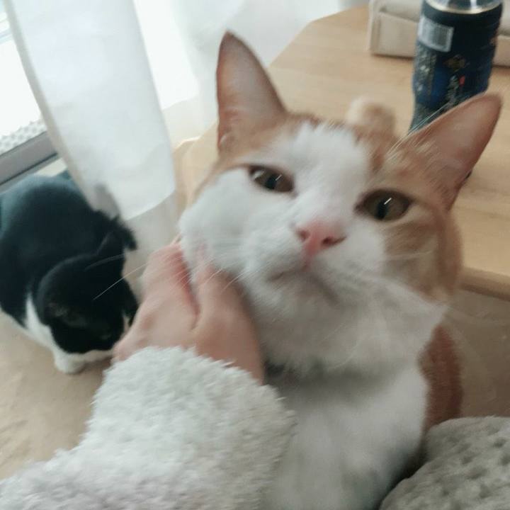 2babae0e 6bab 414b b705 0f712677e928 1525917655982