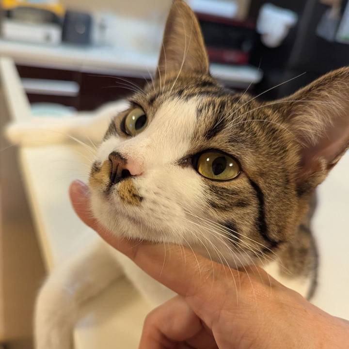 2babb46c 3ab9 4874 aecc d24d994d3207 1757396089009