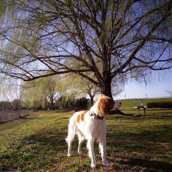 2babc69a c8f5 4d54 82c9 f5191768b92a 1520672452086