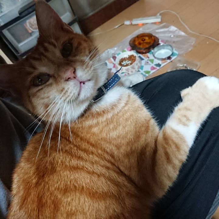 2babd579 28cd 43a6 a29c 120f3f7acc00 1601703940511