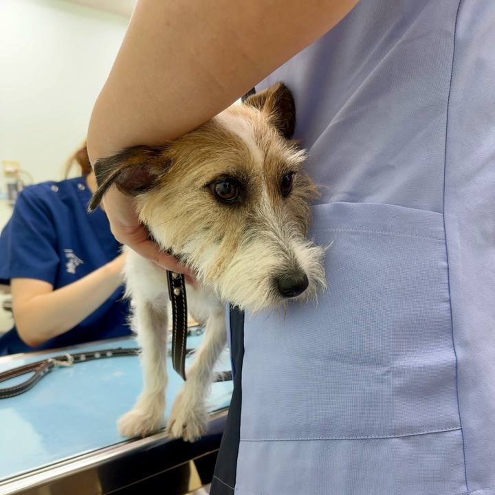 2babd5b7 9577 43ae 85f5 41f84cd64bc7 1724962880713