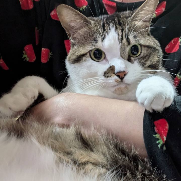 2bac0c72 dfc6 4478 9cb5 bc037e36aa8a 1733743378083