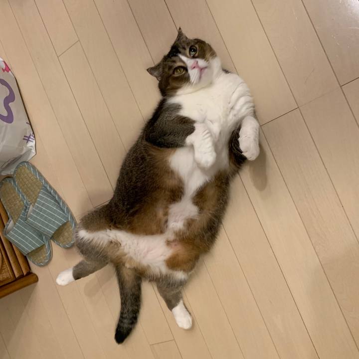 2bac3e0e f295 4c3d 9bf2 88458c19446c 1565966821858