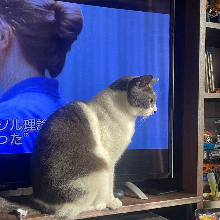 2bac5714 c5fb 4003 9dec a01b3c241ced 1734845405516