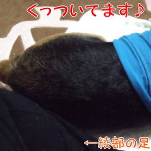 2bace7be 677b 4e32 9acd 5288565c8bf0 1710720954292