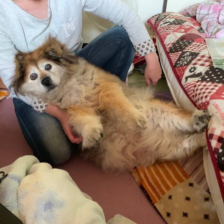 2bace8fa 668b 478f a197 c80eb19d3782 1561612902941