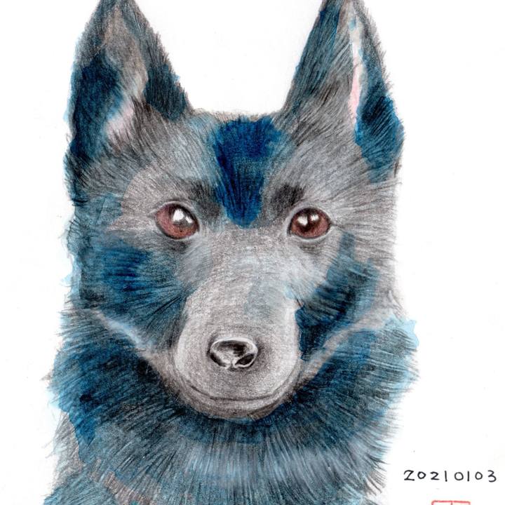 2bad26bb f2b3 4c88 8cda c7a0a19fad8d 1609670442408