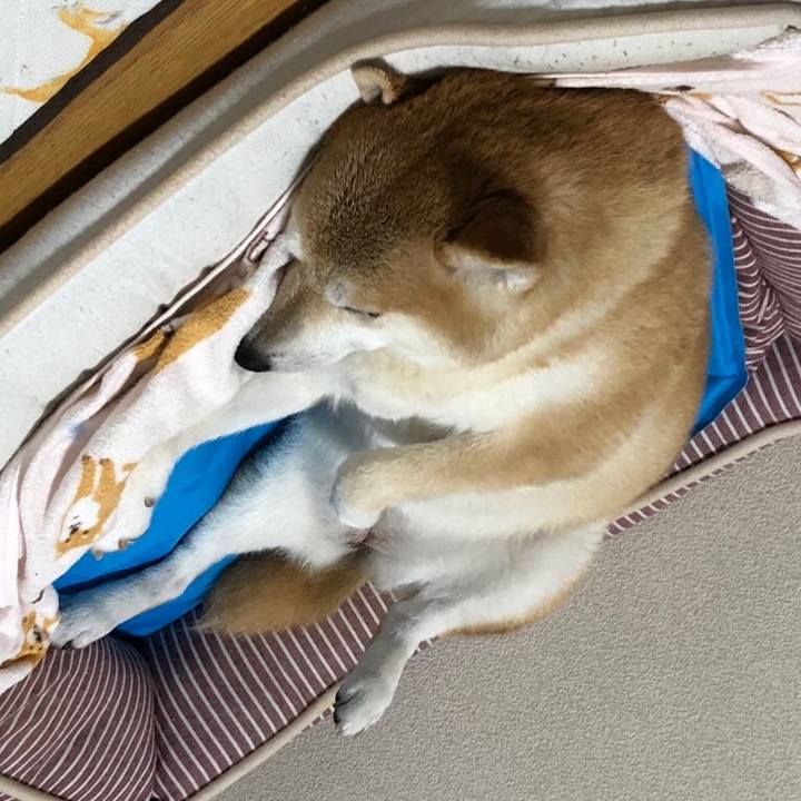 2bad3f45 9dce 46aa a80e 0f76cef32a49 1590325279381