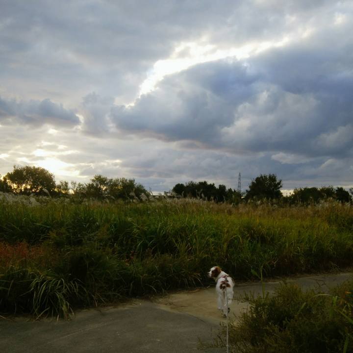 2bad40f5 f421 4225 8e5f cb88b45a0b7f 1541068808729