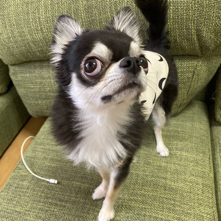 2bad46b4 0704 4a77 8702 7535552f1866 1684077301307