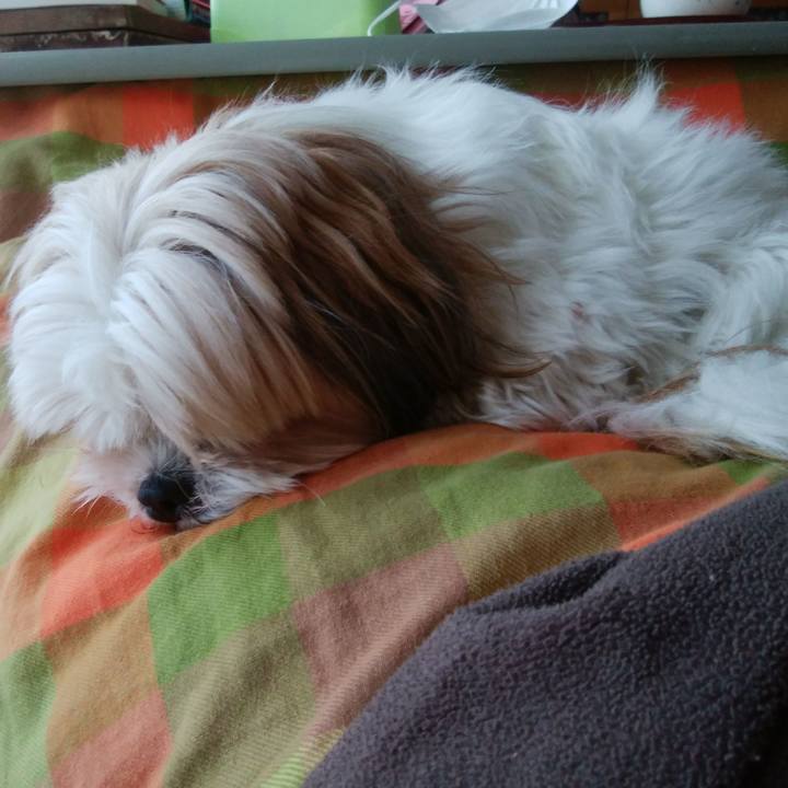 2bad7d6e 31b2 4618 9c45 f2a833ccd26a 1546153169253