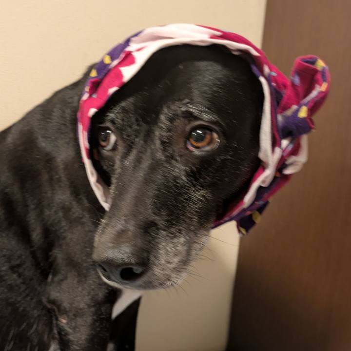 2bad8c03 eb9f 469b b9ac 4e880478401a 1751713338844