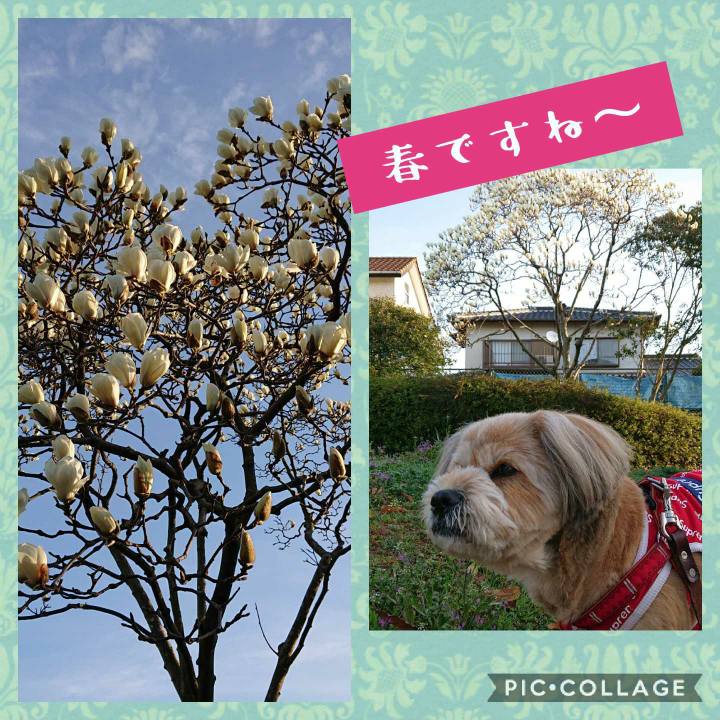 2bad98d8 8f88 4c8c aa89 464c7d6f666a 1614565364623