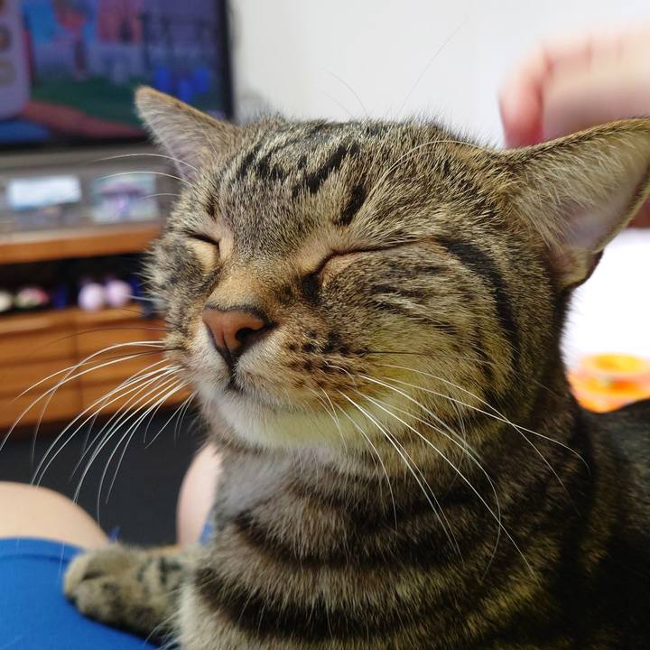 2badd6d4 932b 4022 b532 e5c069458523 1630382278852