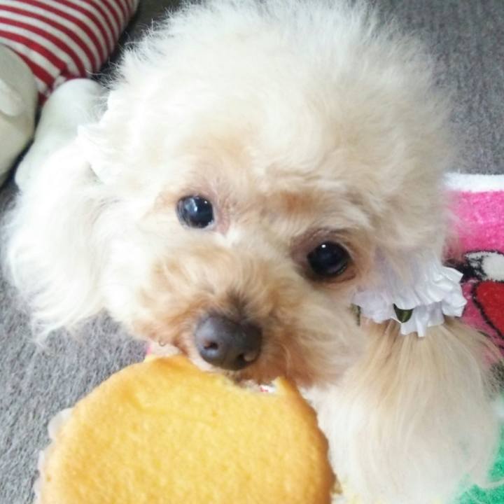 2bae2337 2d1f 4cd0 8e08 2062165827f9 1561204702239