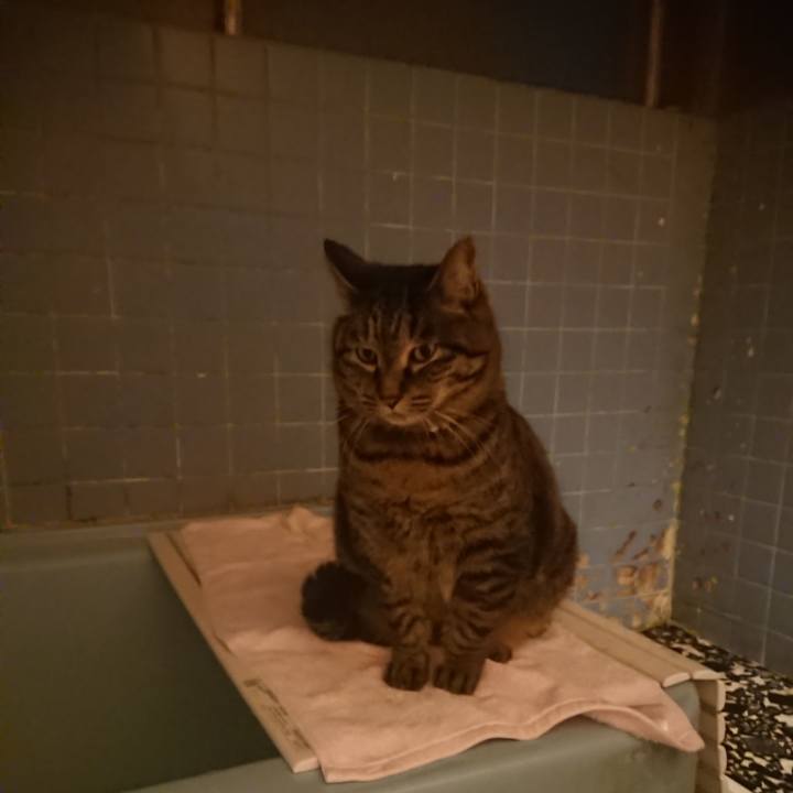 2bae6928 7938 4c53 9b1b a8a104b3d5f5 1643712801378