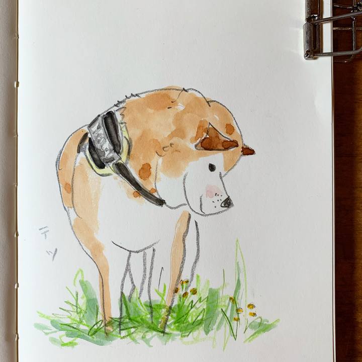 2bae8230 e3cd 461e a78d af2213b507f0 1603453996987