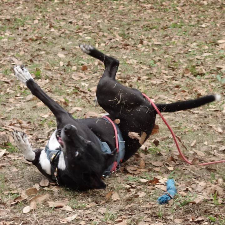 2bae86e6 e707 4ecd 8a86 7b0e2f91b284 1731205888428