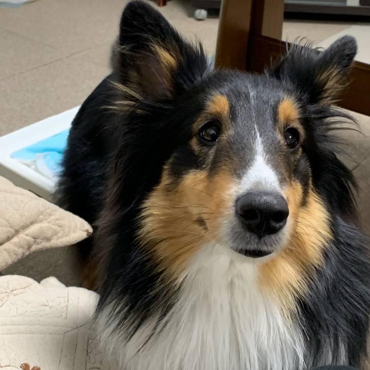 2bae8f66 62de 4aea ae38 d5264827d37f 1552255432007