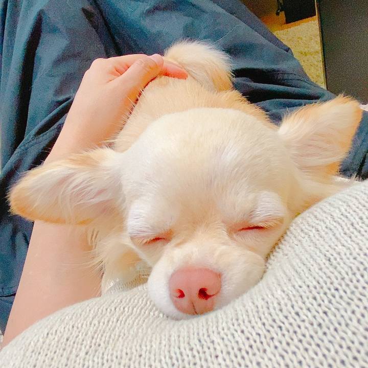 2baeb2ec e067 444e 96ca dc37492d712d 1621515107874