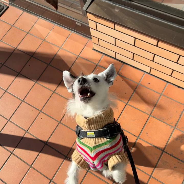 2baecc43 2448 4d2f 9929 ee0791f5aaee 1763082789349