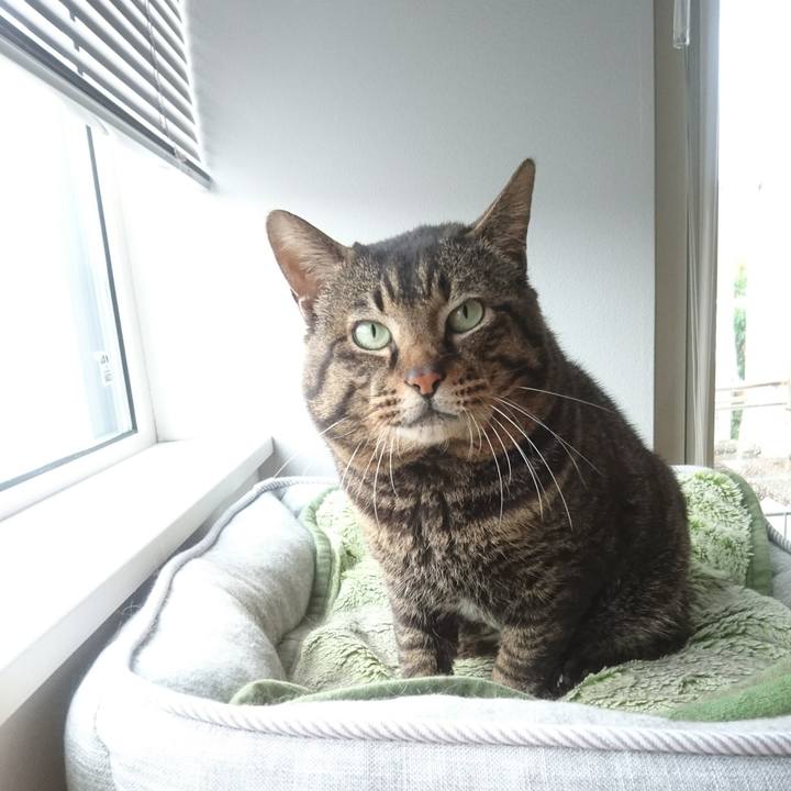 2baeeb54 fcb5 42a3 a7e9 d02b94b4a078 1528846008855