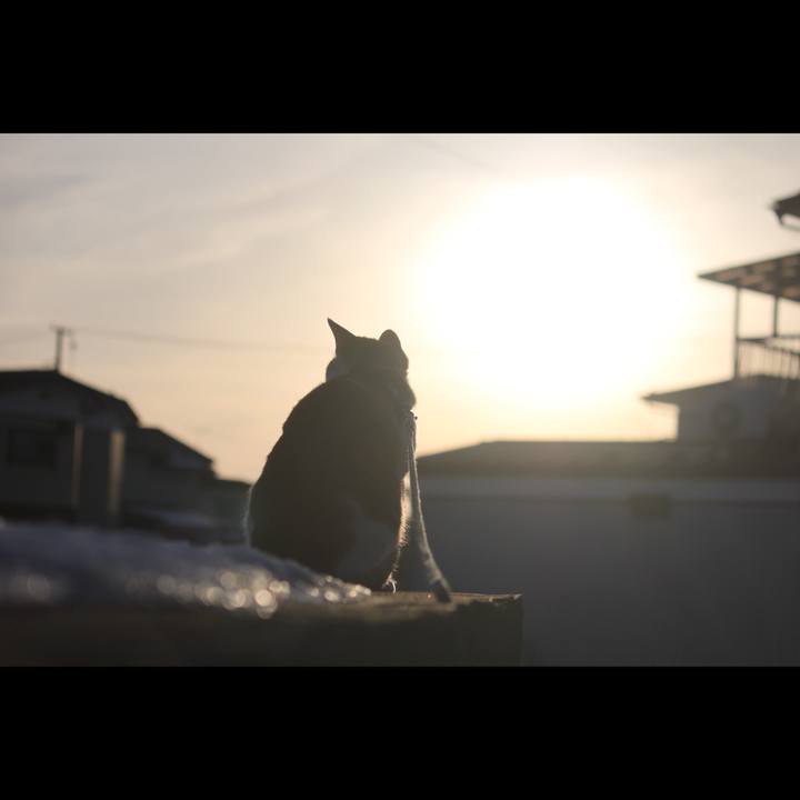 2baf1880 76d9 4db6 987b d66ffa97facb 1517568991637